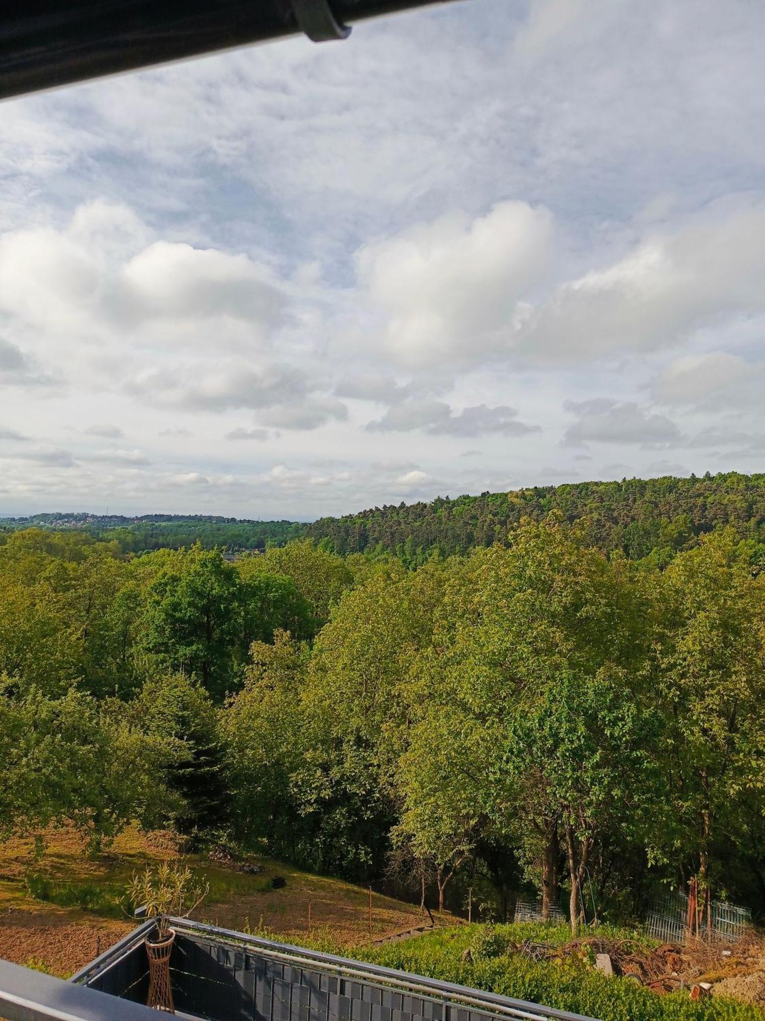 Noclegi U Ewusi 2 Januszowice  Exteriör bild